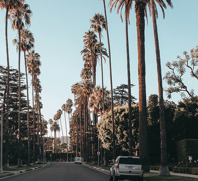 Los Angeles’ White Glove Movers
