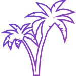 Roadway - Miami Movers