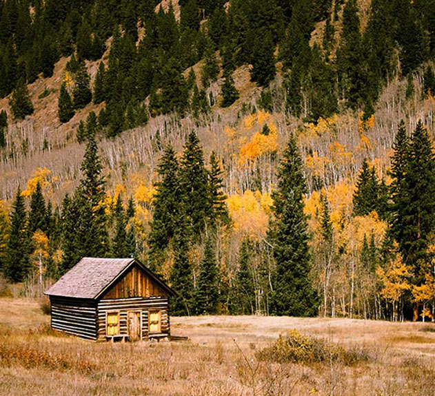 Colorado White Glove Service