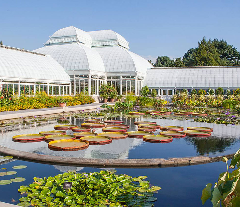 Bronx White Glove Moving Service