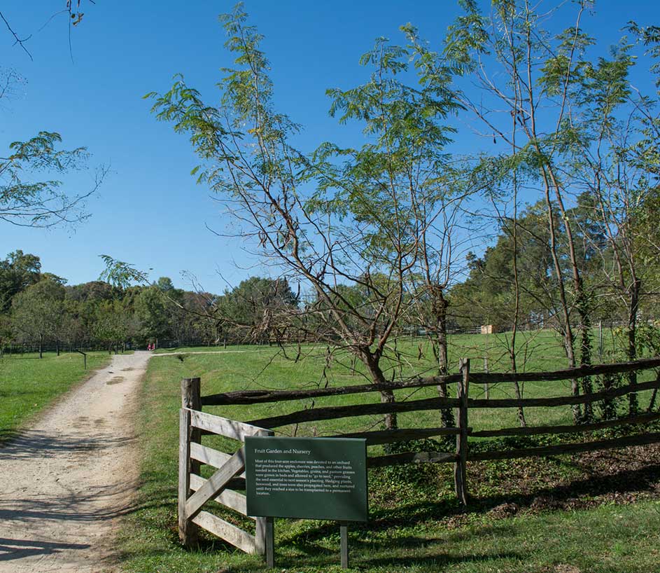 Mt Vernon Long-Distance Movers